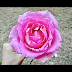 Meet your Posher, Annie